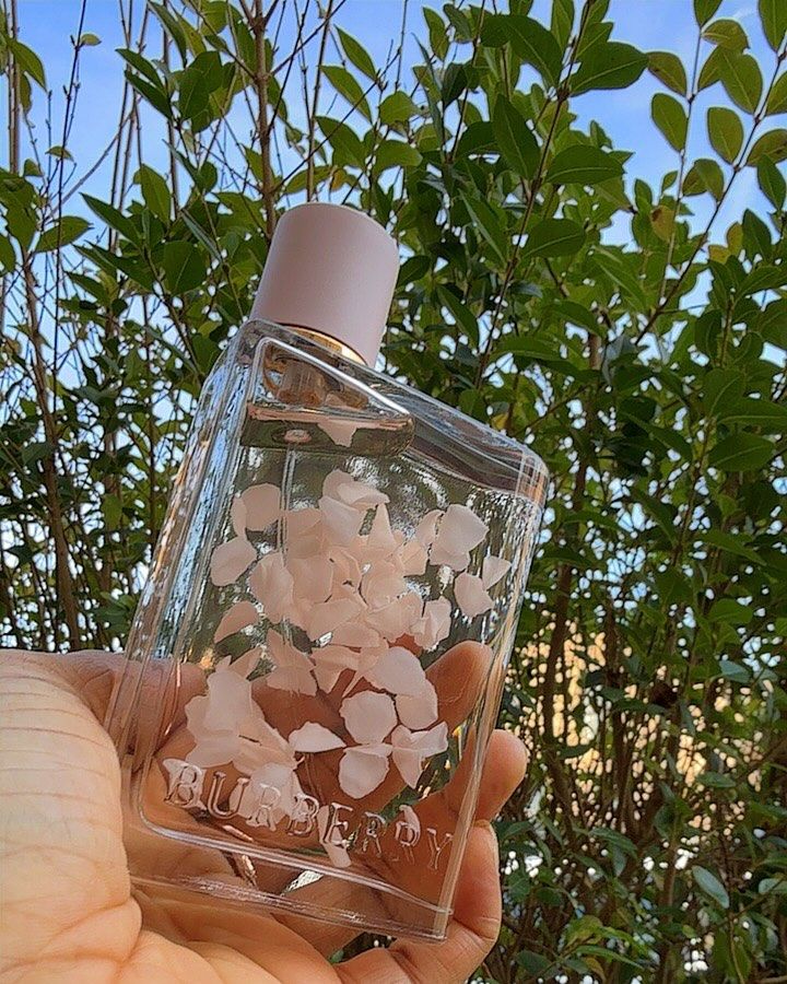 Burberry Her Eau de Parfum Petals Limited Edition for women 88ml. (tester version)