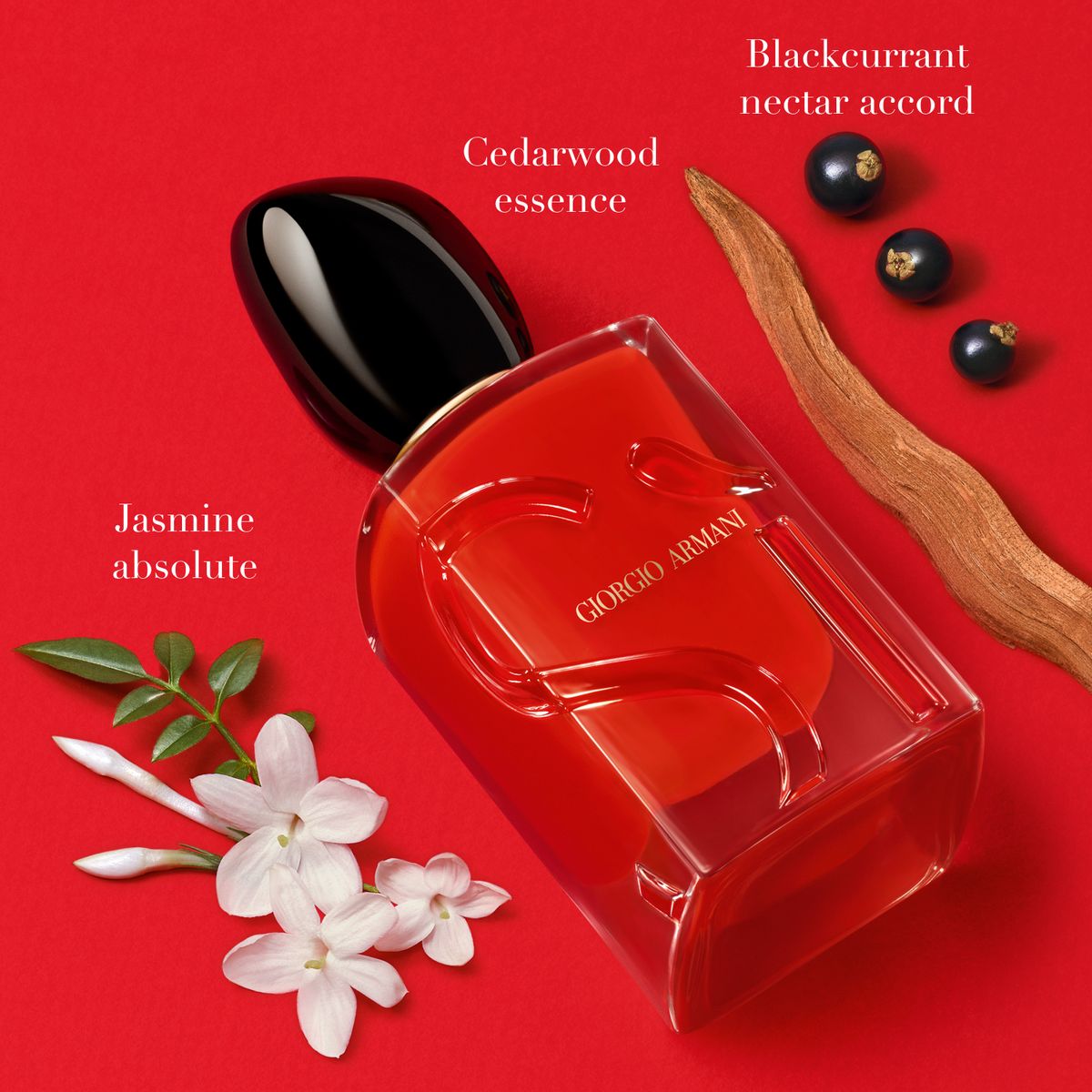 Giorgio Armani Si Passione Eau de Parfum 100ml. (tester version)